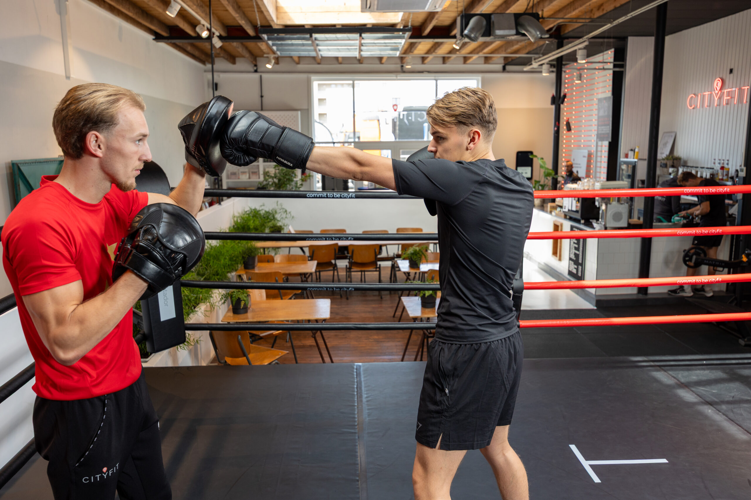 19 City Fit website landscape portrait 2025